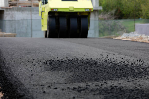 Best Driveway Resurfacing Pavers  in Palmview, TX