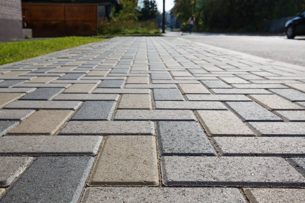 Best Driveway Paving Contractor  in Palmview, TX