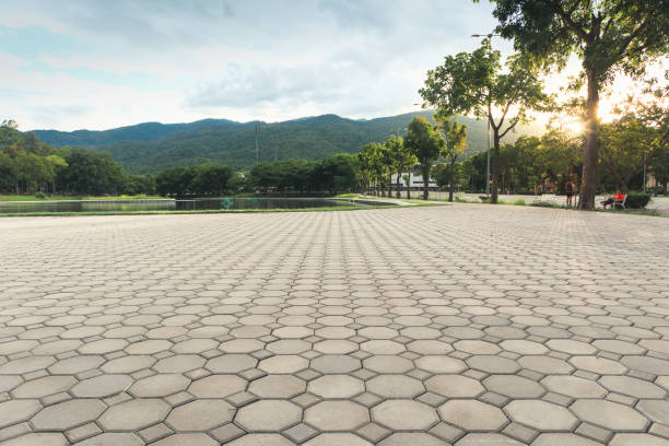 Best Local Driveway Pavers  in Palmview, TX