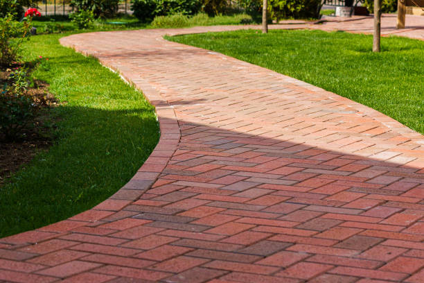 Best Local Driveway Pavers  in Palmview, TX