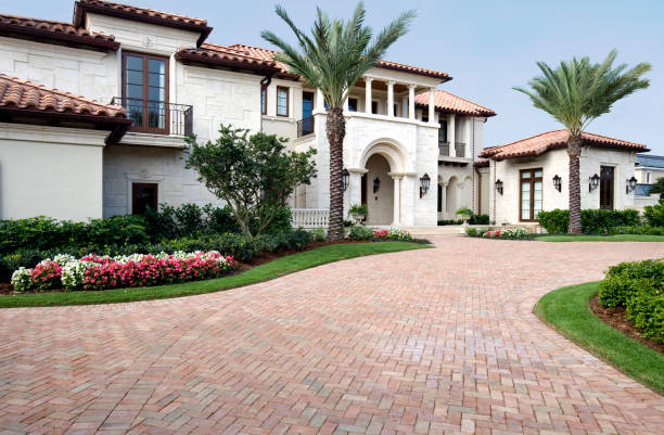 Best Professional Driveway Pavers  in Palmview, TX