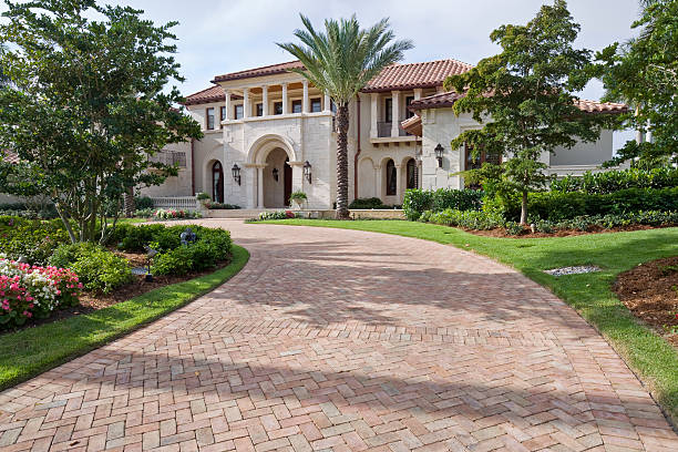 Best Best Driveway Pavers  in Palmview, TX