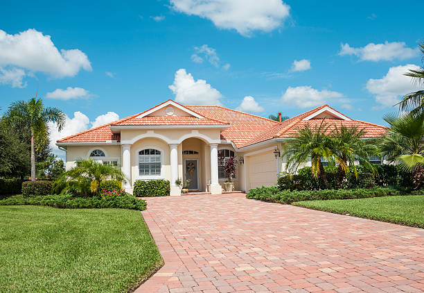 Best Residential Paver Driveway  in Palmview, TX