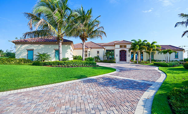 Best Professional Driveway Pavers  in Palmview, TX